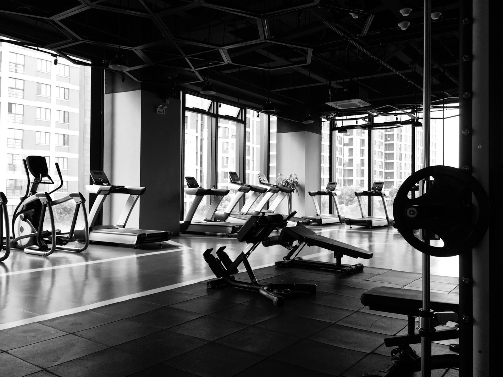 PureaFit mobile app preview
